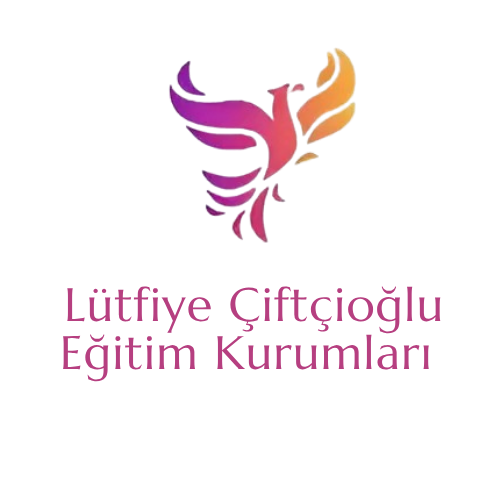 https://www.lutfiyeciftcioglu.com/