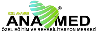 https://anamedozelegitim.com/