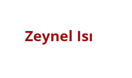 https://zeynelisi.com/