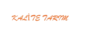 https://www.kalitemuz.com/